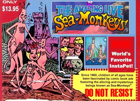 Are Sea monkeys real? truth behind the most popular water pets