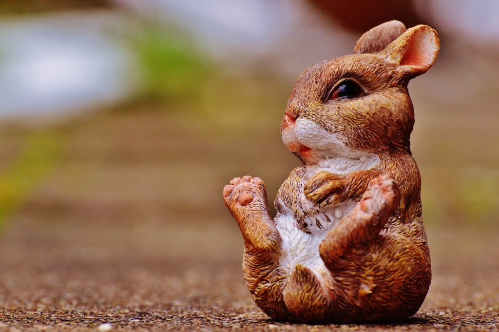 Japan Rabbit Island